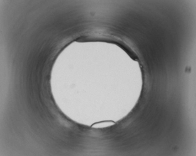 X0000113160481200910161248