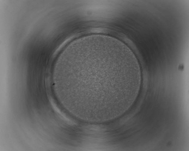 X0000113160482200910161248