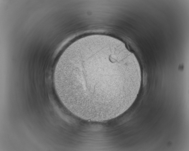 X0000113160483200910161248