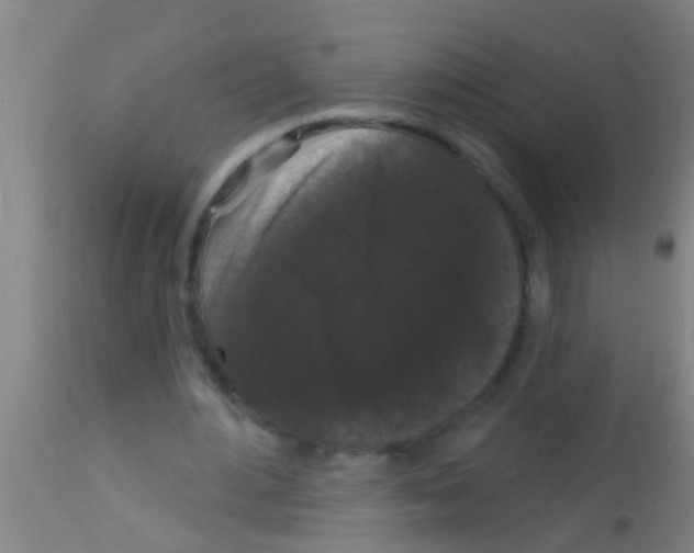 X0000113160484200910161248