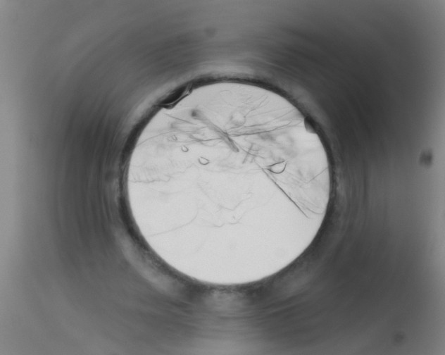 X0000113160487200910161248