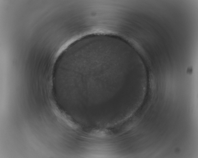 X0000113160488200910161248