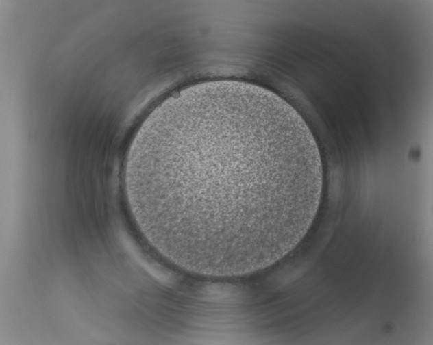 X0000113160490200910161248