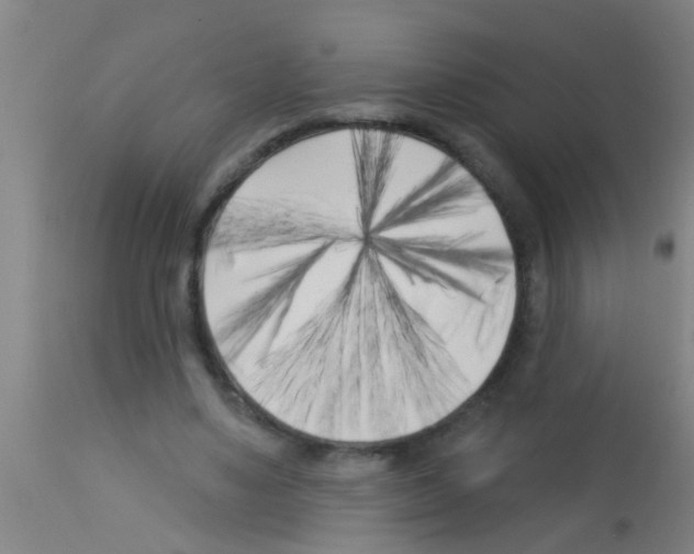 X0000113160491200910161248