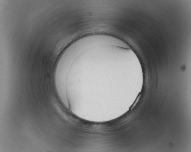 X0000113160493200910161248