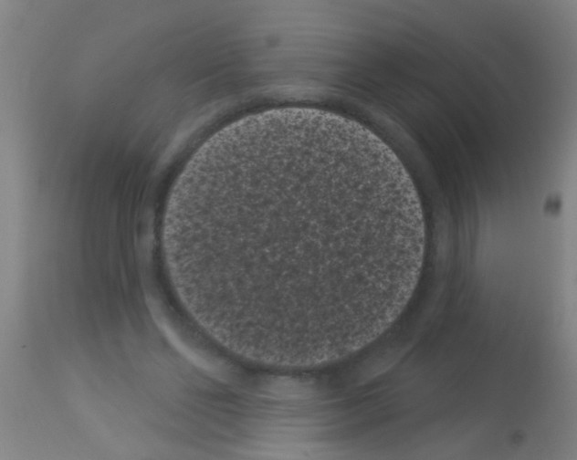 X0000113160494200910161248