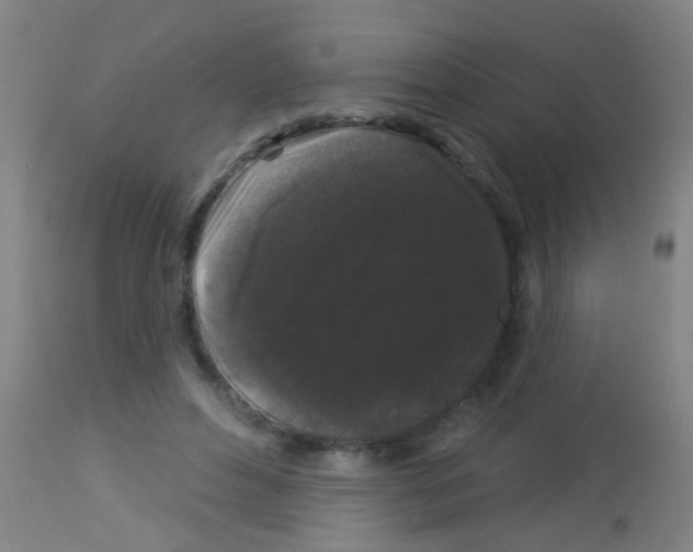 X0000113160496200910161248