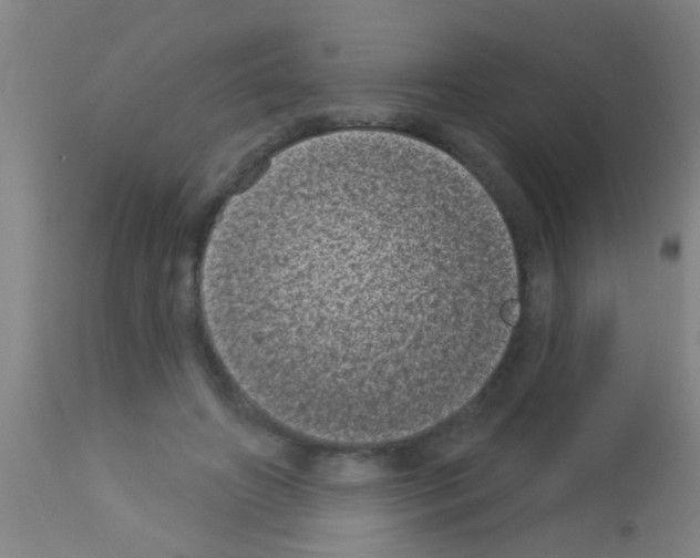 X0000113160498200910161248