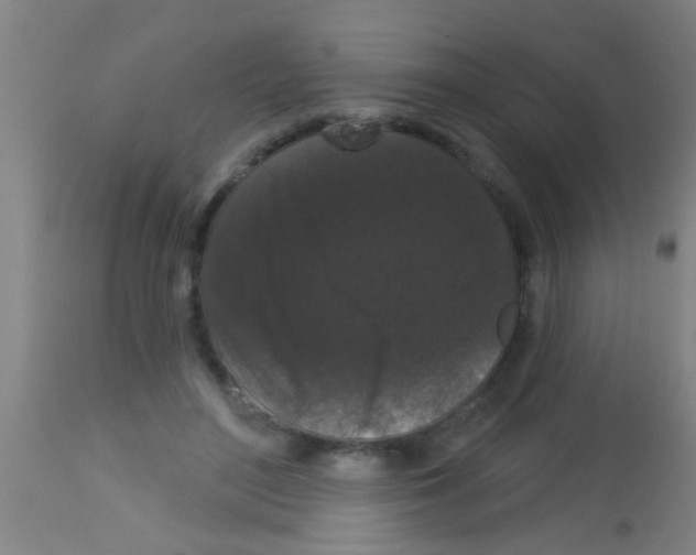 X0000113160500200910161248