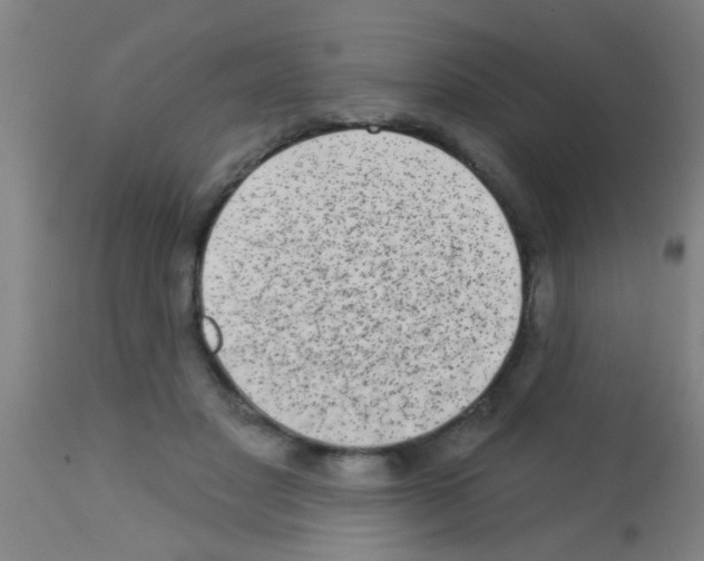 X0000113160501200910161247