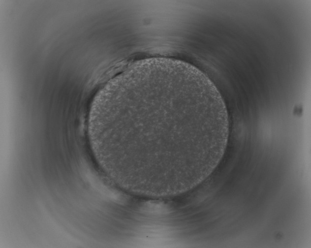 X0000113160502200910161247