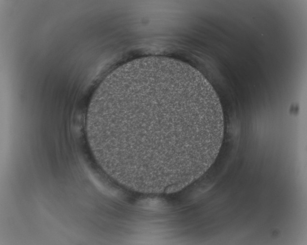 X0000113160503200910161247