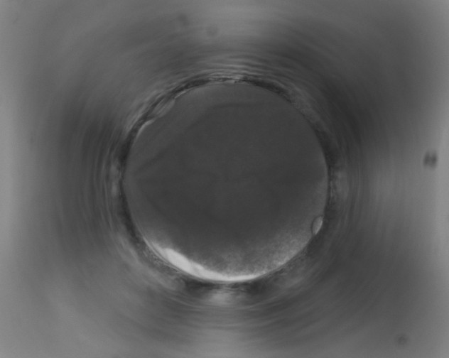 X0000113160504200910161247