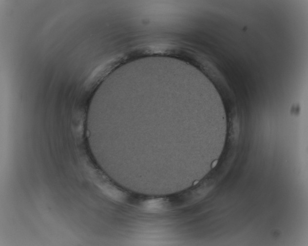 X0000113160505200910161247