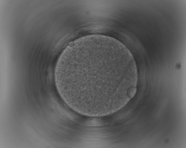 X0000113160506200910161247