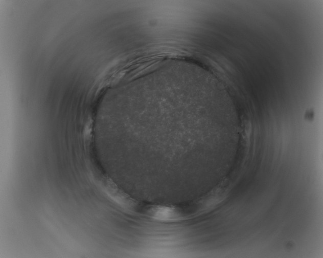 X0000113160507200910161247