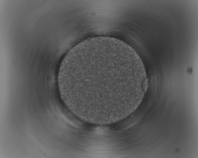 X0000113160508200910161247