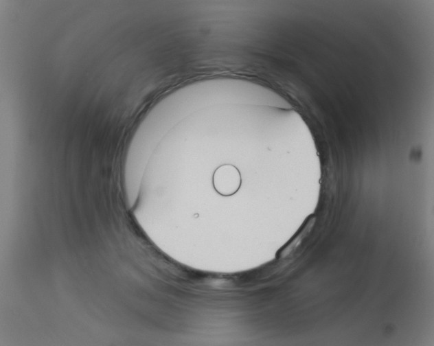 X0000113160509200910161247