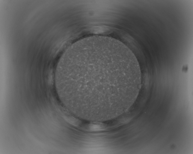 X0000113160510200910161247