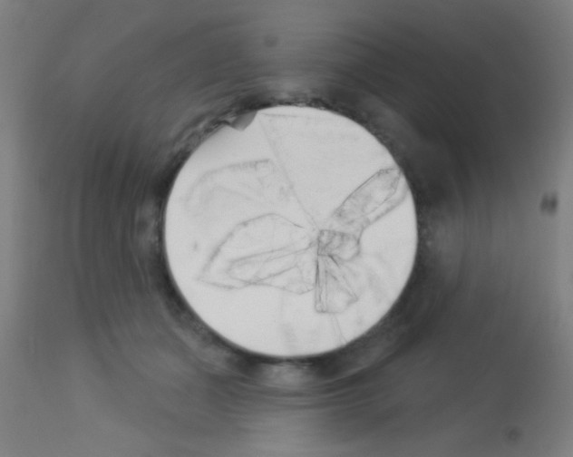 X0000113160511200910161247