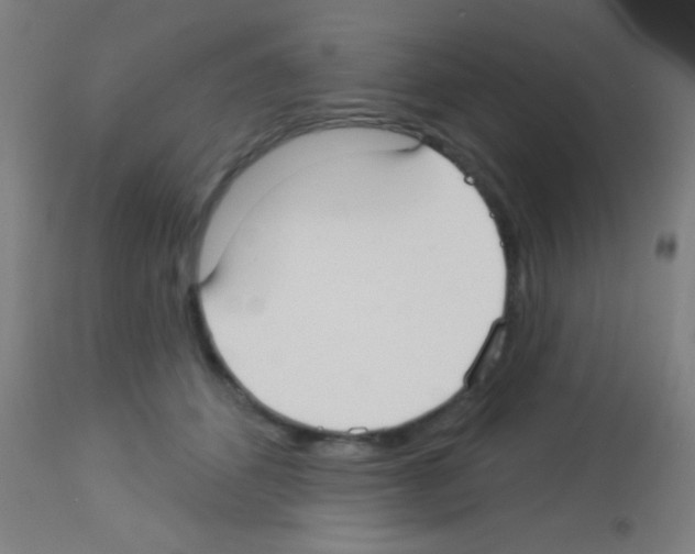 X0000113160512200910161247