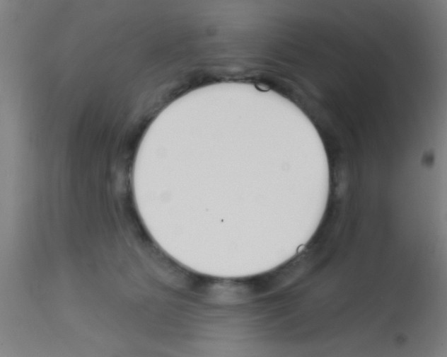 X0000113160515200910161247