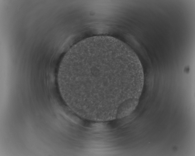 X0000113160516200910161247