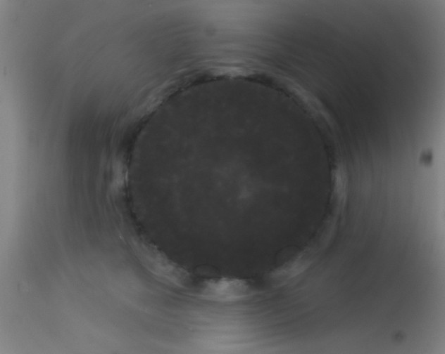 X0000113160517200910161247