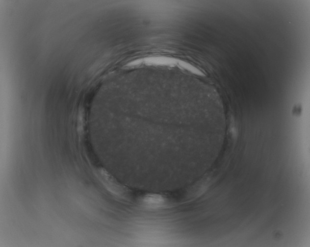 X0000113160519200910161247