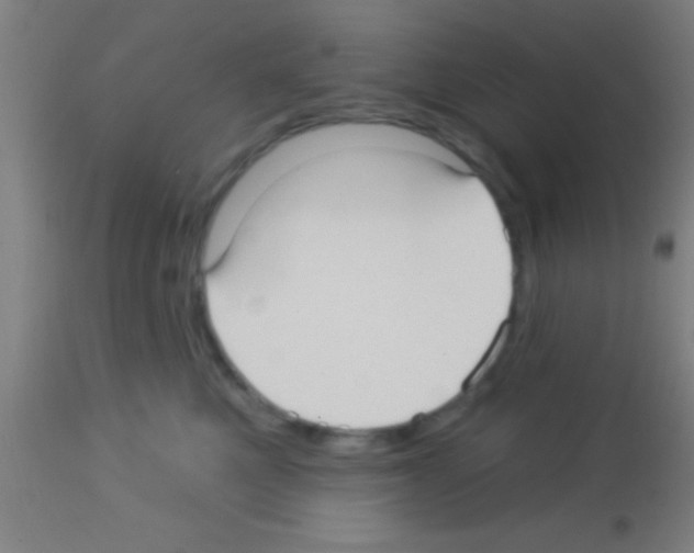 X0000113160521200910161247