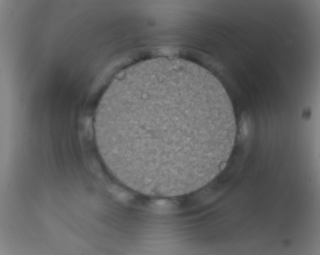 X0000113160522200910161247