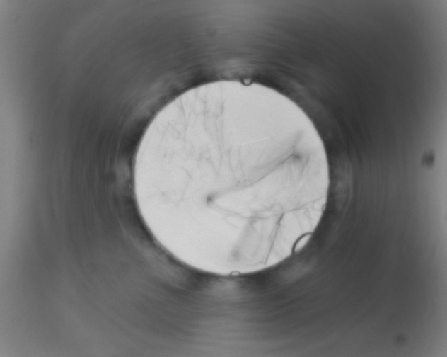 X0000113160523200910161247