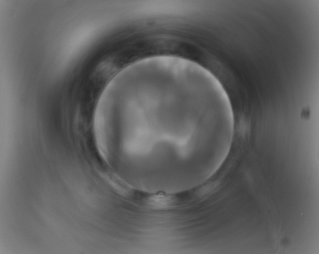 X0000113160526200910161247