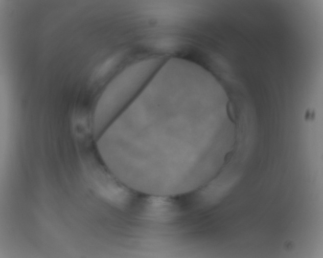 X0000113160528200910161247