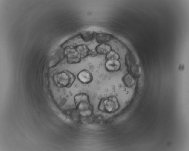 X0000113160529200910161246