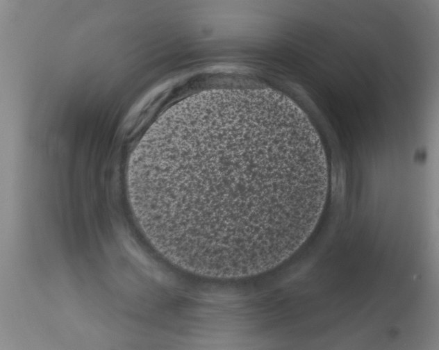 X0000113160531200910161246