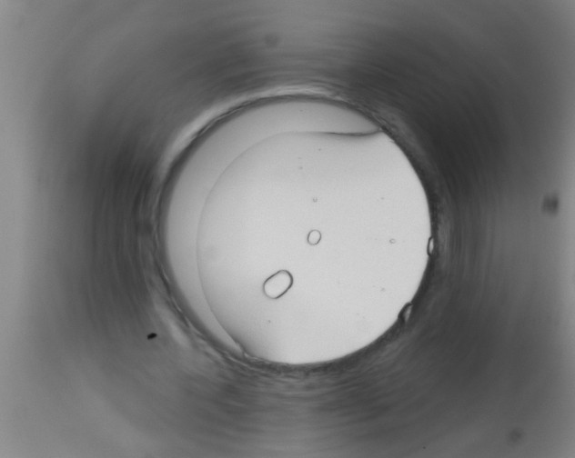 X0000113160532200910161246