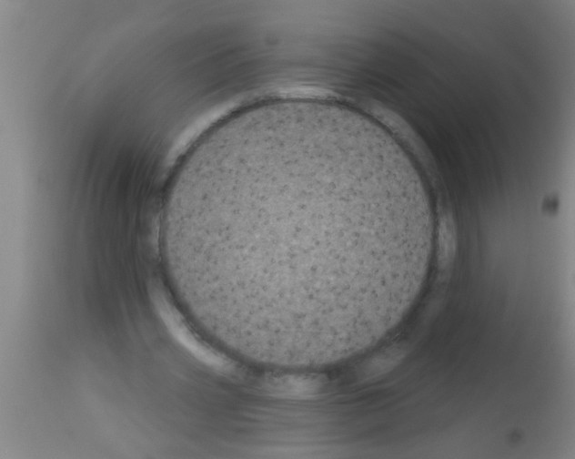 X0000113160533200910161247