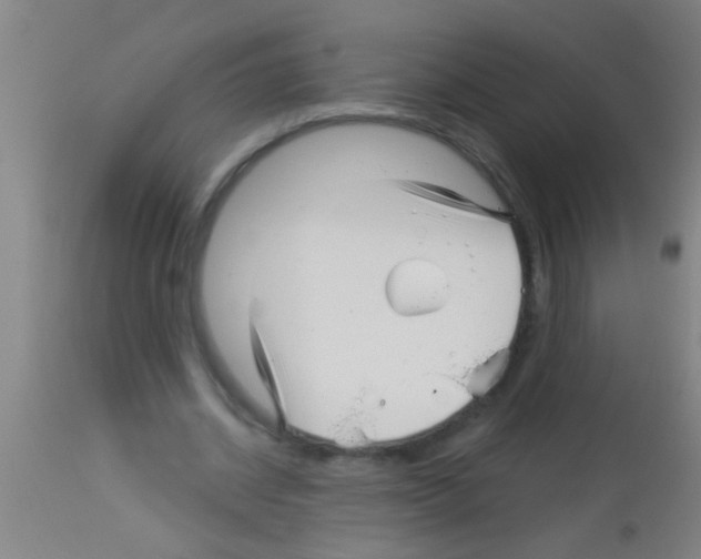 X0000113160534200910161247