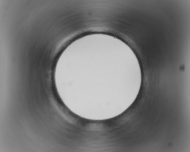 X0000113160535200910161247