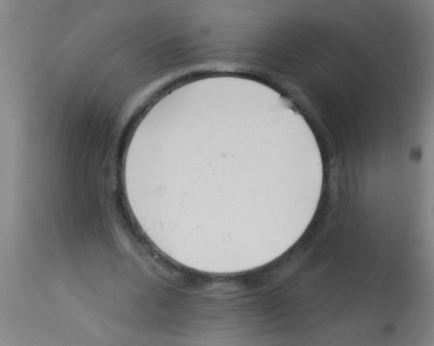 X0000113160536200910161247