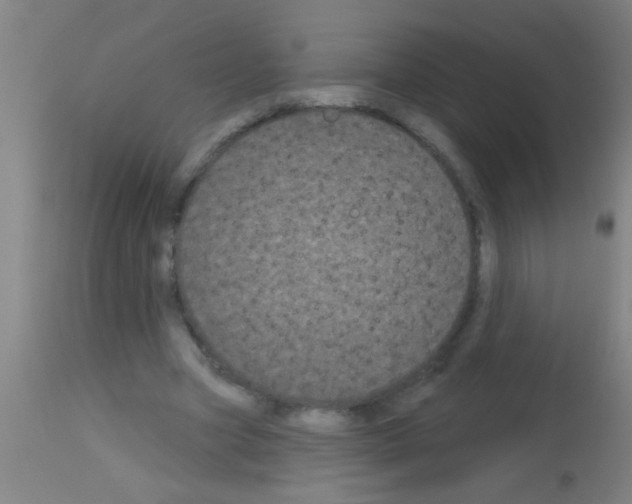 X0000113160537200910161247