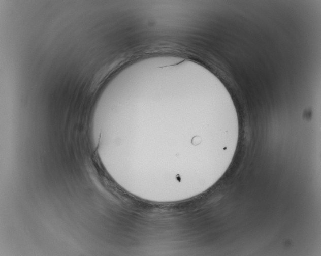 X0000113160538200910161247