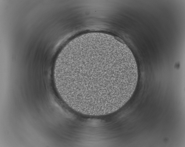 X0000113160539200910161247