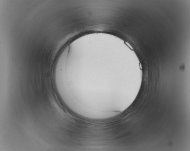 X0000113160540200910161247