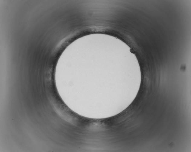 X0000113160543200910161247