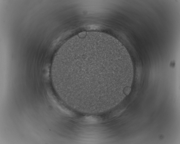 X0000113160545200910161247