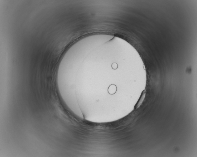 X0000113160546200910161247