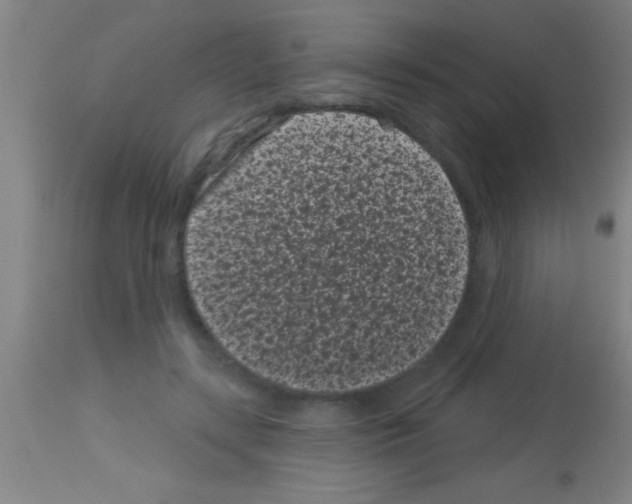 X0000113160547200910161247