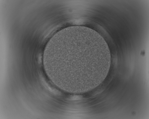 X0000113160549200910161247